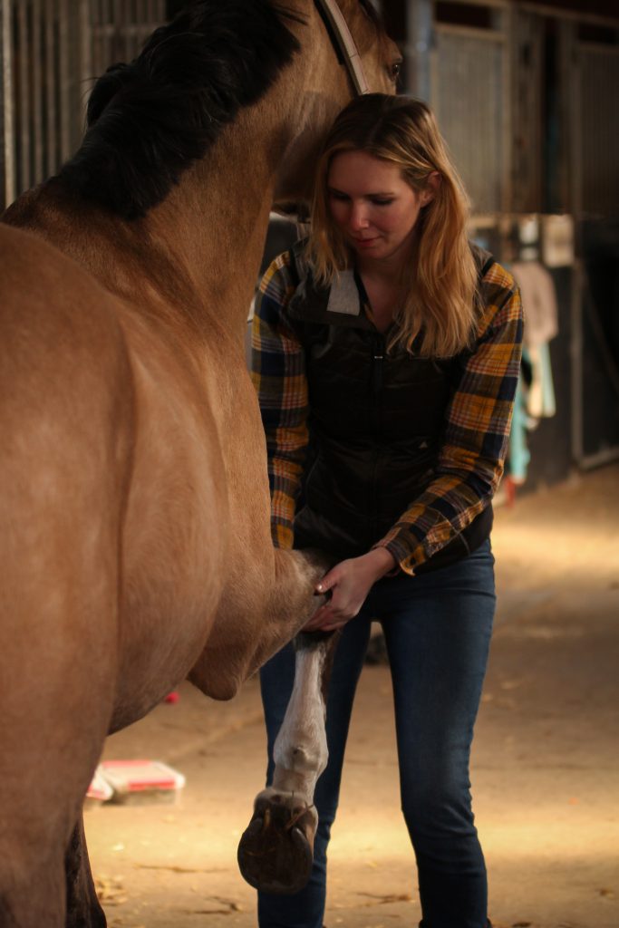 Healthy Horse Affairs - paardenmassage