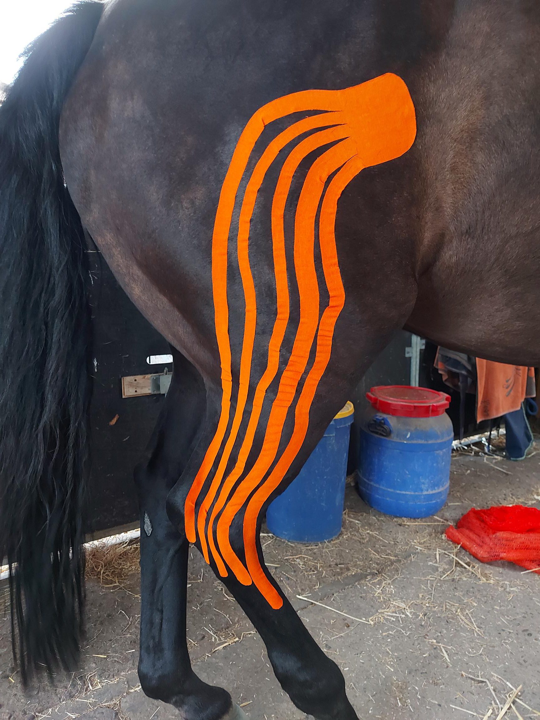 paardentape - kinesiotape paard - paard met dik been tapen - tape bij paarden